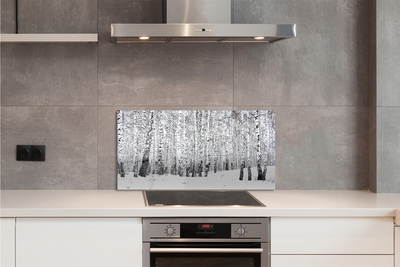 Stenska plošča za kuhinjo Zimske breze
