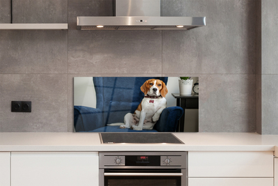 Stenska plošča za kuhinjo Sedel pes