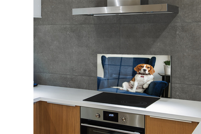 Stenska plošča za kuhinjo Sedel pes