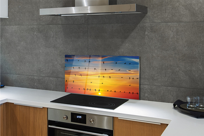 Stenska plošča za kuhinjo Ptice na vrvi sončnem zahodu