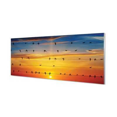 Stenska plošča za kuhinjo Ptice na vrvi sončnem zahodu
