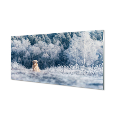 Stenska plošča za kuhinjo Zimska planšarski pes