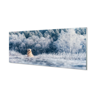 Stenska plošča za kuhinjo Zimska planšarski pes