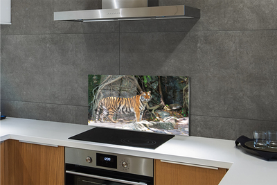 Stenska plošča za kuhinjo Tiger jungle
