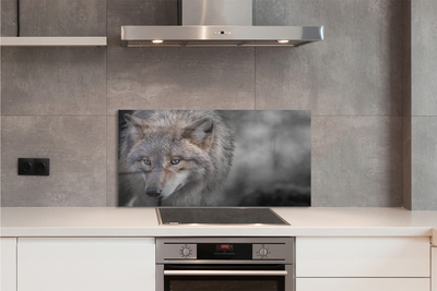 Stenska plošča za kuhinjo Wolf