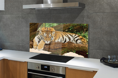 Stenska plošča za kuhinjo Tiger drevo