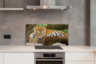 Stenska plošča za kuhinjo Tiger drevo