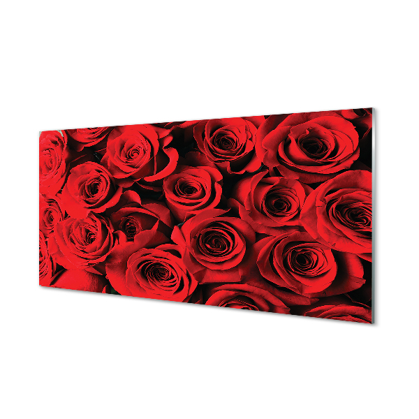 Zidna obloga za kuhinju Roses