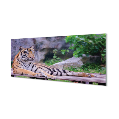 Stenska plošča za kuhinjo Tiger v živalskem vrtu