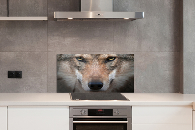 Stenska plošča za kuhinjo Volk ​​oči