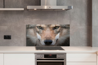 Stenska plošča za kuhinjo Volk ​​oči