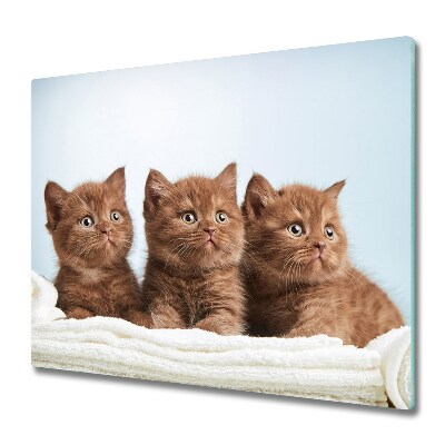 Steklena podloga za rezanje Mačke na brisačo