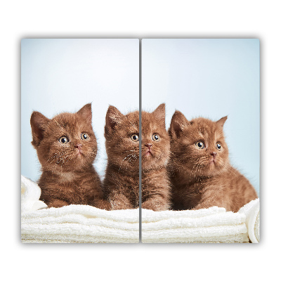 Steklena podloga za rezanje Mačke na brisačo