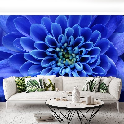 Stenska fototapeta Modri ​​cvet
