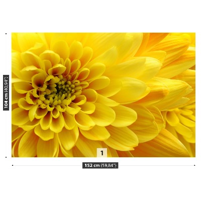 Stenska fototapeta Rumeni cvet