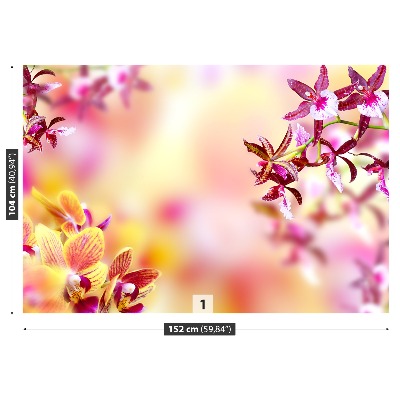 Stenska fototapeta Pink orhideja
