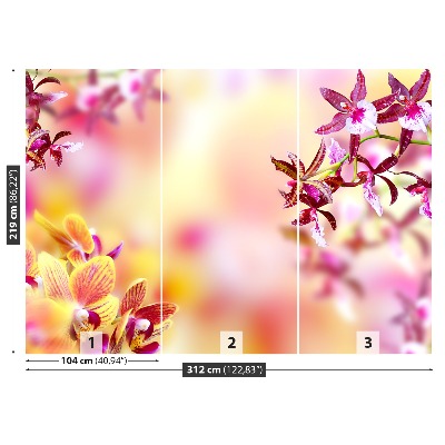 Stenska fototapeta Pink orhideja