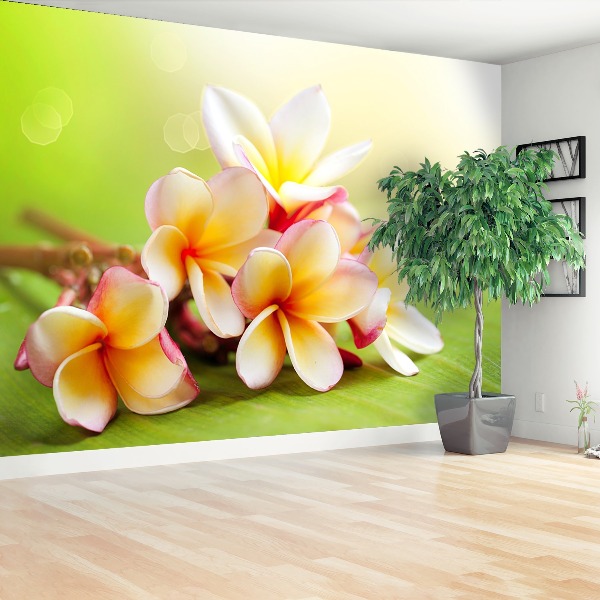 Stenska fototapeta Frangipani cvetje