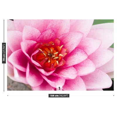 Stenska fototapeta Lotus cvet