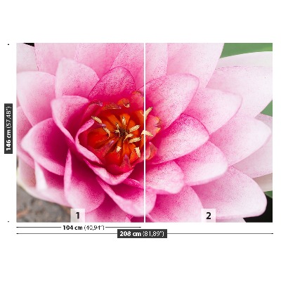 Stenska fototapeta Lotus cvet