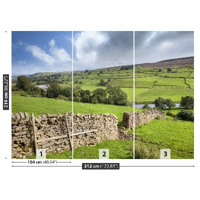 Fototapeta Yorkshire dolina