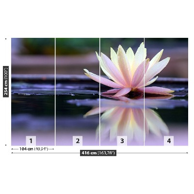 Stenska fototapeta Lotus
