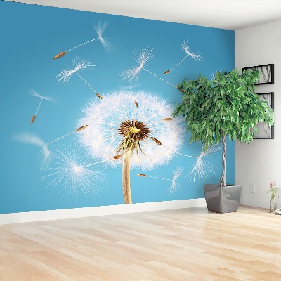 Fototapeta Dandelion