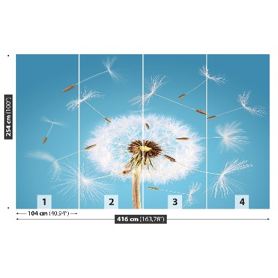 Fototapeta Dandelion