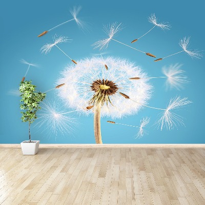 Fototapeta Dandelion