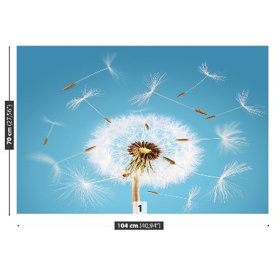 Fototapeta Dandelion