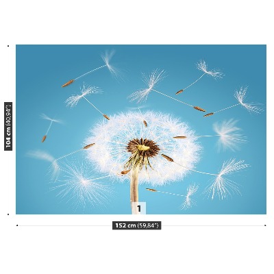 Fototapeta Dandelion