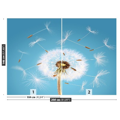 Fototapeta Dandelion