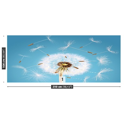 Fototapeta Dandelion