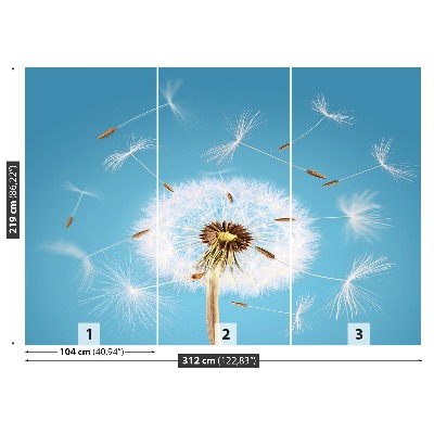 Fototapeta Dandelion