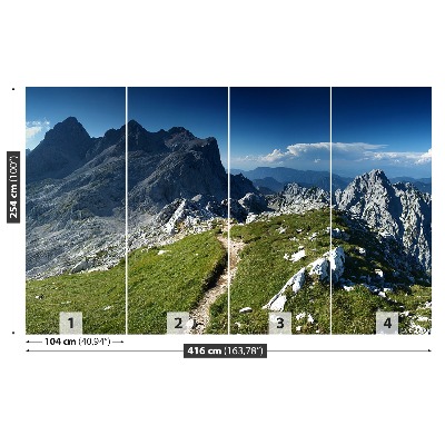 Fototapeta Alpe slovenija