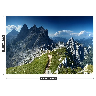 Fototapeta Alpe slovenija