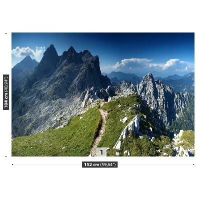 Fototapeta Alpe slovenija