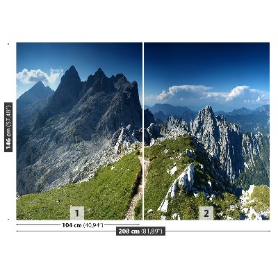 Fototapeta Alpe slovenija