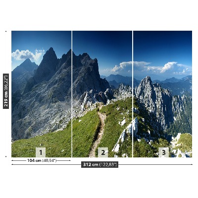 Fototapeta Alpe slovenija