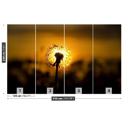 Fototapeta Dandelion