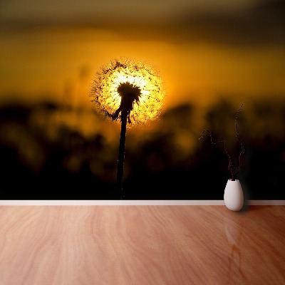 Fototapeta Dandelion