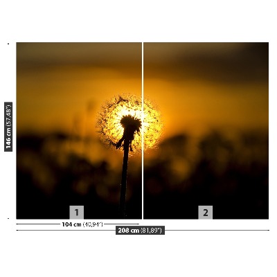 Fototapeta Dandelion