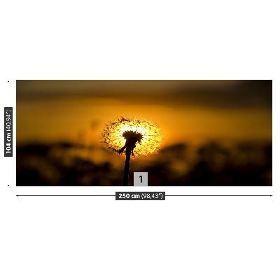 Fototapeta Dandelion