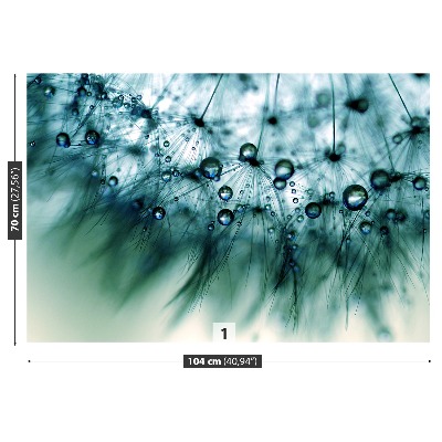 Stenska fototapeta Dandelion blue