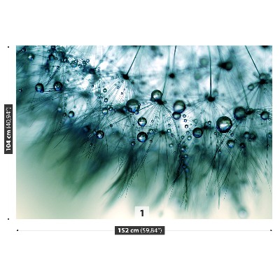 Stenska fototapeta Dandelion blue