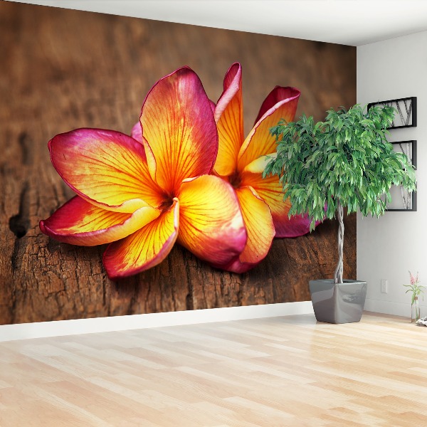 Stenska fototapeta Plumeria wood