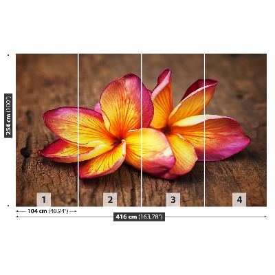 Stenska fototapeta Plumeria wood