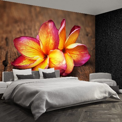 Stenska fototapeta Plumeria wood