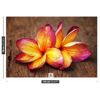 Stenska fototapeta Plumeria wood