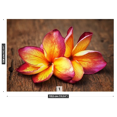 Stenska fototapeta Plumeria wood